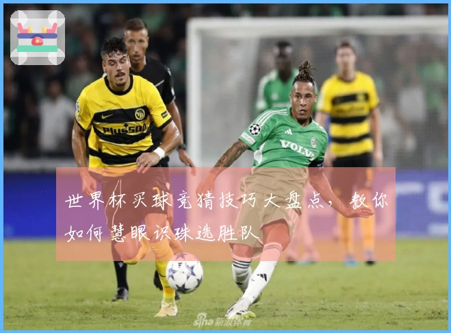 世界杯买球竞猜技巧大盘点，教你如何慧眼识珠选胜队