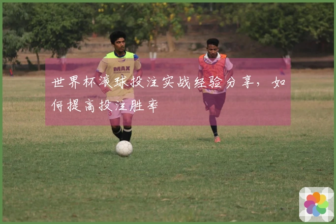世界杯滚球投注实战经验分享，如何提高投注胜率