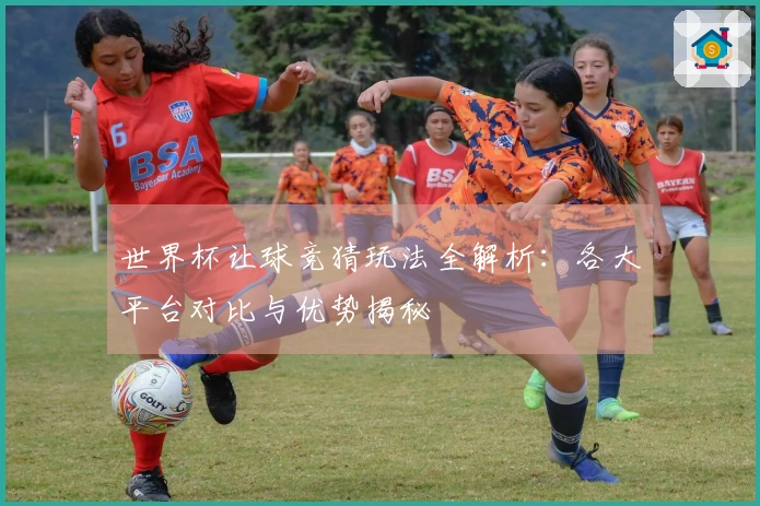 世界杯让球竞猜玩法全解析：各大平台对比与优势揭秘